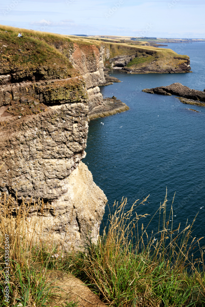Crawton Bay (Scotland), UK - August 01, 2018: Cliff view at Crawton Bay, Scotland, Highlands, United Kingdom Crawton Bay (Scotland), UK - August 01, 2018: Cliff view at Crawton Bay, Scotland, Highlands, United Kingdom