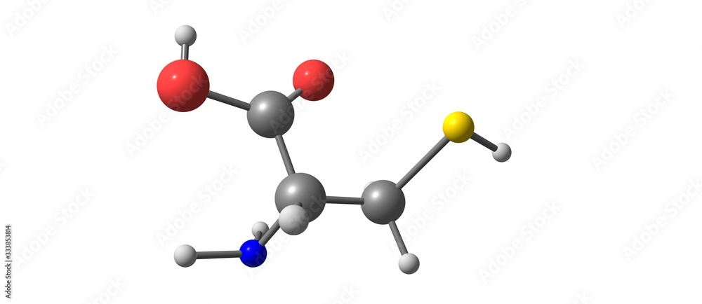 Cysteine molecular structure isolated on white Cysteine molecular structure isolated on white