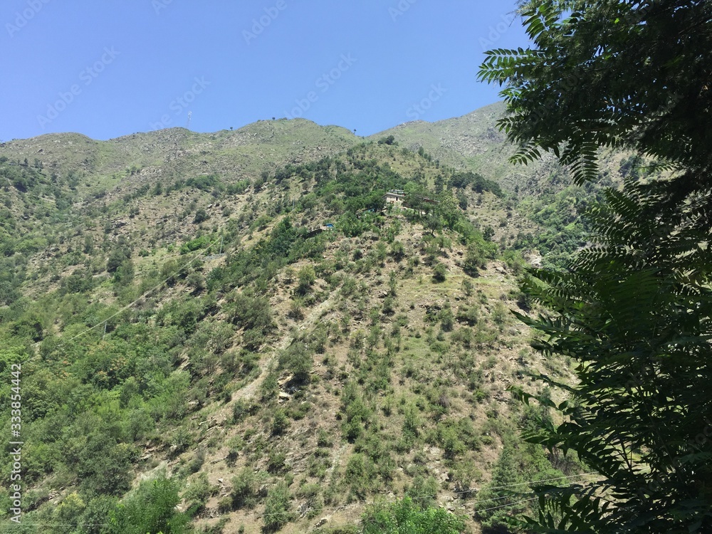 Fototapeta premium clear sky below green trees in Naran Pakistan