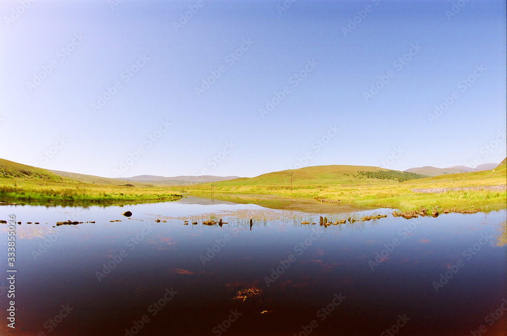 Fototapeta premium perfection of colors one