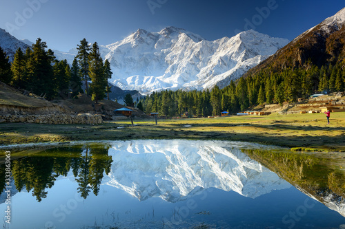 Nanga Parbat reflected in a pond at Fairy Meadows. photo