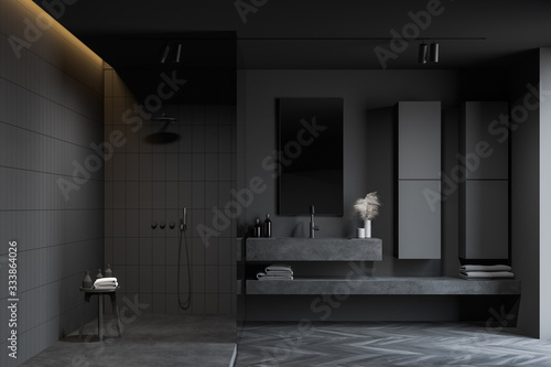 Slika na platnu Dark gray bathroom, sink and shower