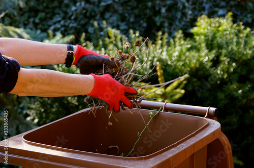 throwing away garden plant residues into the bio container