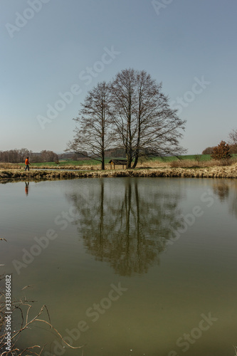 Sunny spring day in the countryside. Water reflection. Trees reflected in water. Tranquil landscape scene. Water and trees. Spring landscape. Silhouette a man walking with reflection on the water © Eva