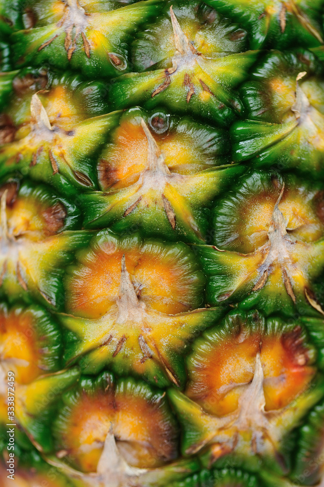 Fresh tropical fruit pineapple Fresh tropical fruit pineapple