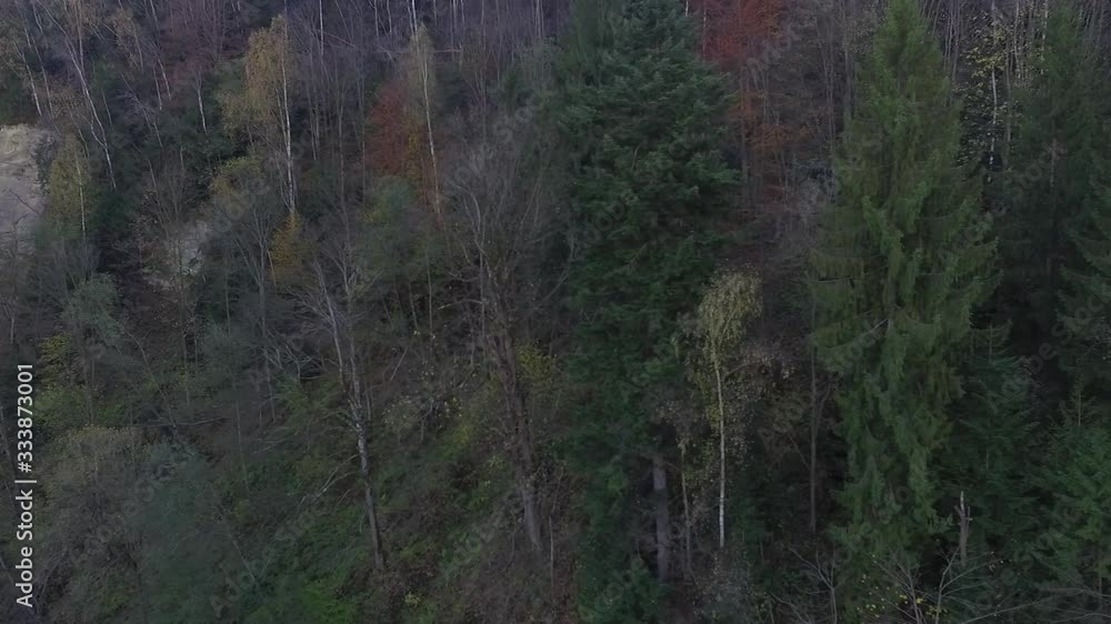 Carpathians above the forest, track in the forest Carpathians above the forest, track in the forest