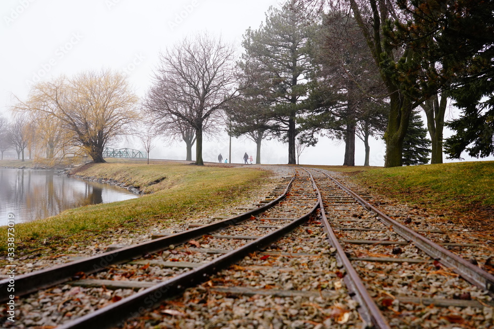 railroad tracks in the forest