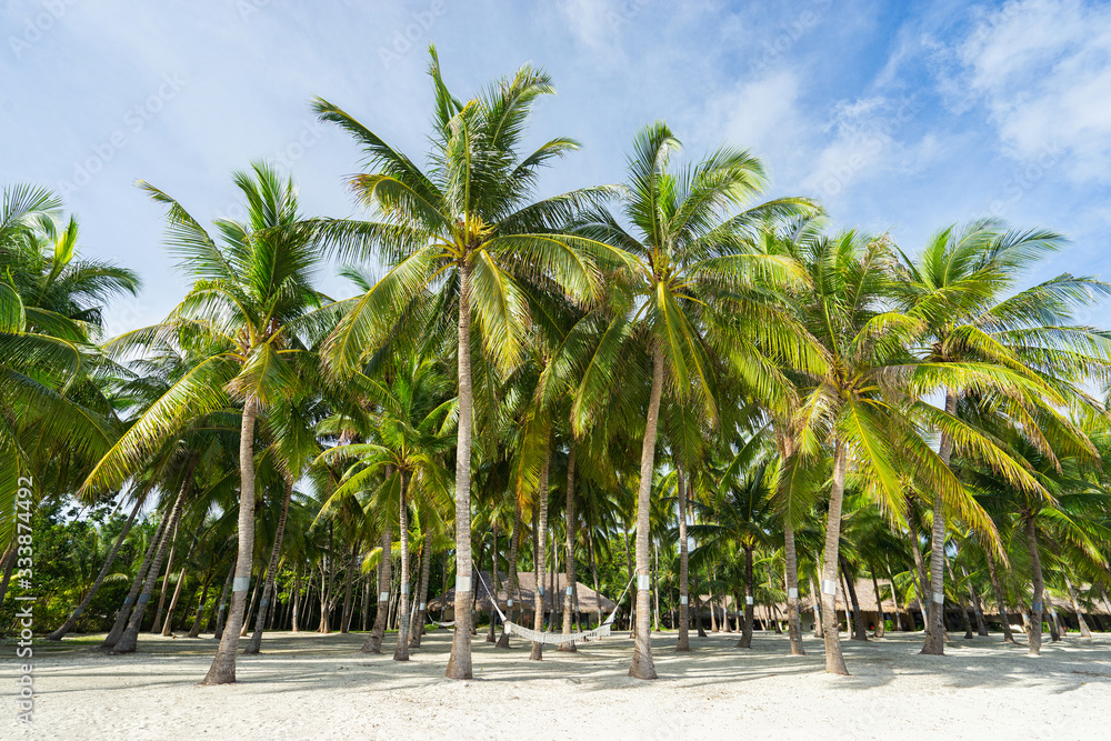Beautiful tropical beach, hammock and coconut palm trees. Holiday and vacation concept.