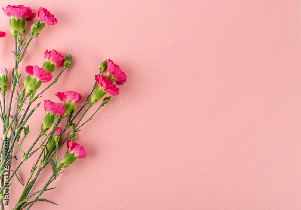Fresh Carnation Flower Bouquet Dianthus or Schabaud Fresh Carnation Flower Bouquet Dianthus or Schabaud