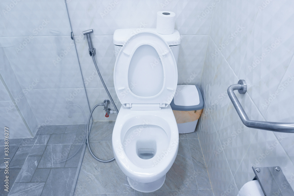 Toilet Bowl In A Modern Bathroom With Bins And Toilet Paper flush toilet-bowl-in-a-modern-bathroom-with-bins-and-toilet-paper-flush