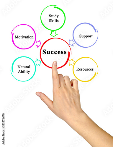 Five drivers of success