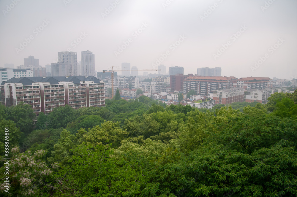 Green trees in the middle of the Wuhan City in China.