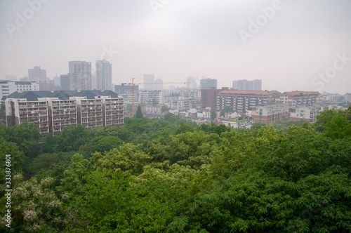 Green trees in the middle of the Wuhan City in China.