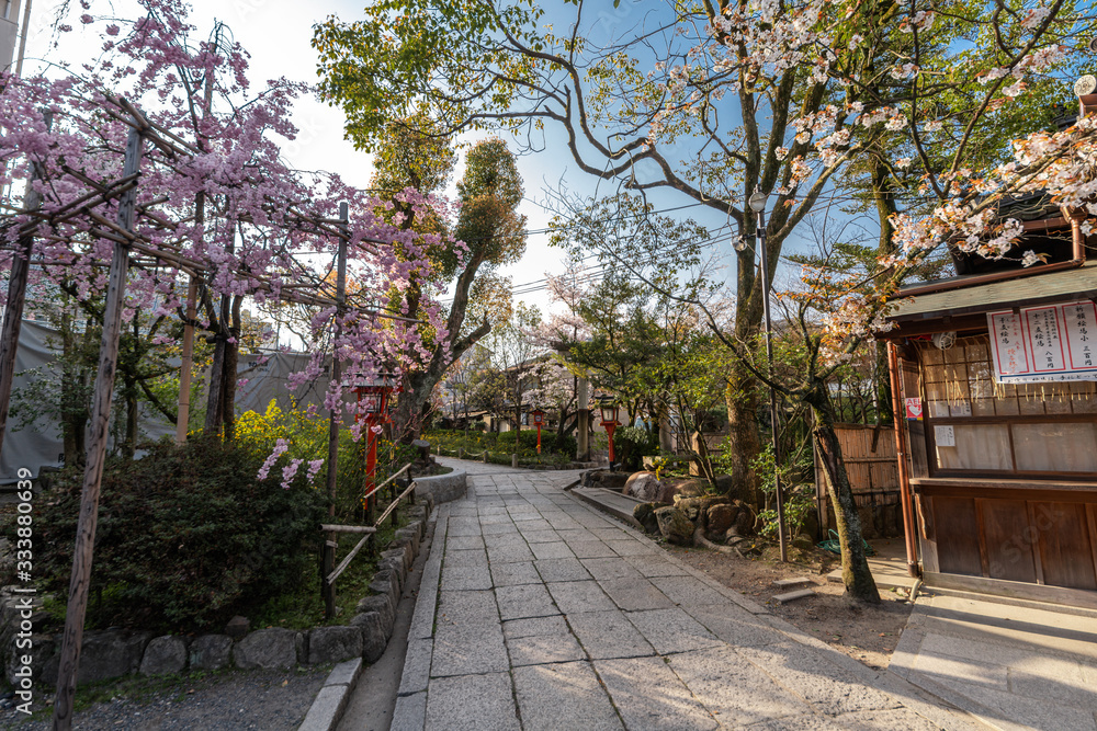 日本 京都 安井金比羅宮の桜と春景色