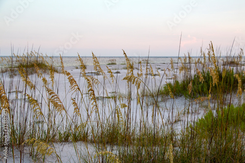 beach sand dunes with sea oats at sunset