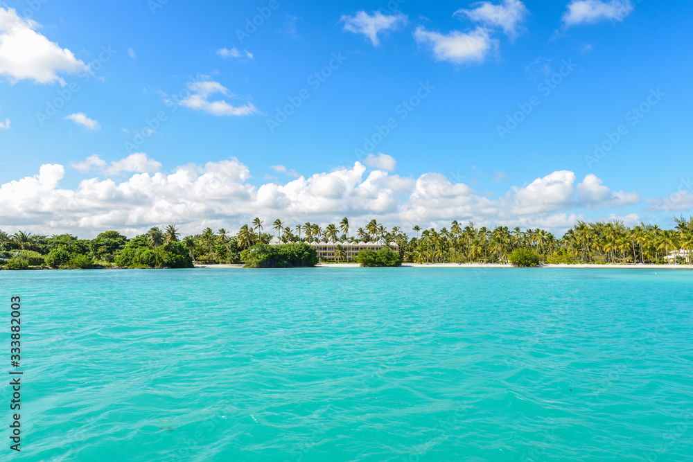 caribbean beach with palms tree