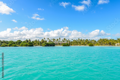 caribbean beach with palms tree