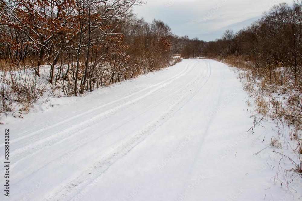Obraz premium Snow fell out on a narrow dirt road