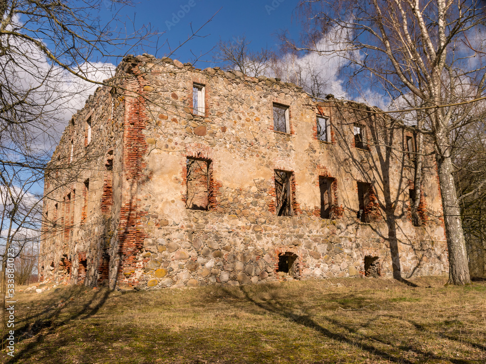 wonderful landscape with ruins of an old manor house, trees in the old building, early spring