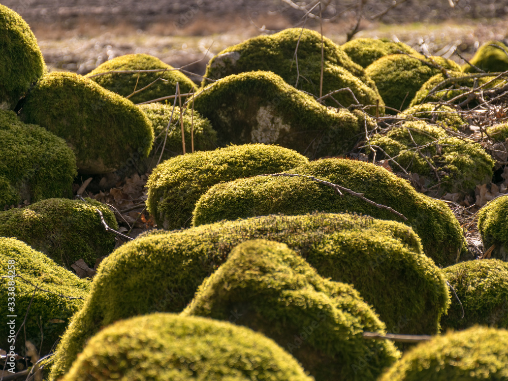wonderful landscape with bright green stones wonderful landscape with bright green stones