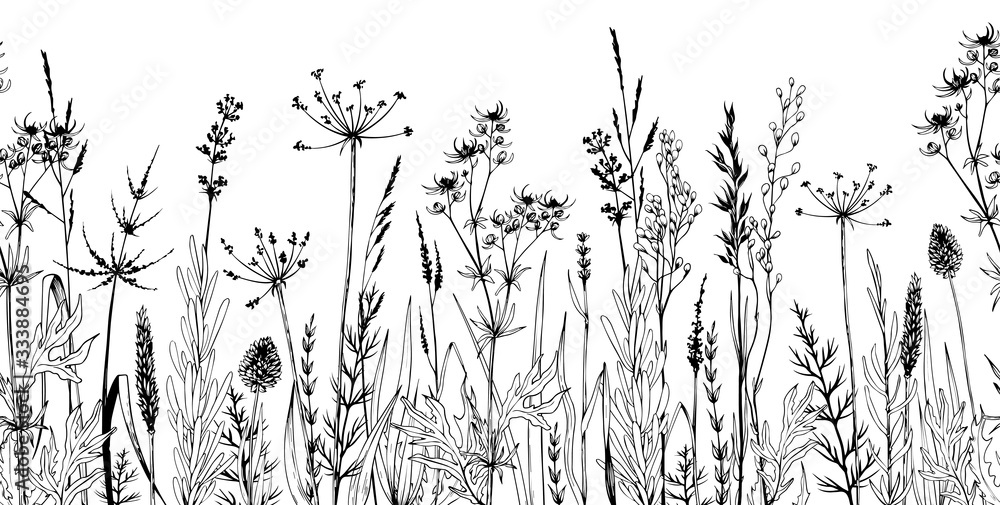 Fototapeta Seamless horizontally background with wild plants, herbs and flowers.