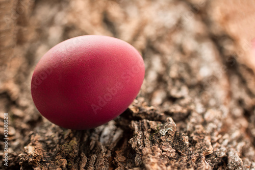 Canvas Print Red easter egg on the bark of an old tree