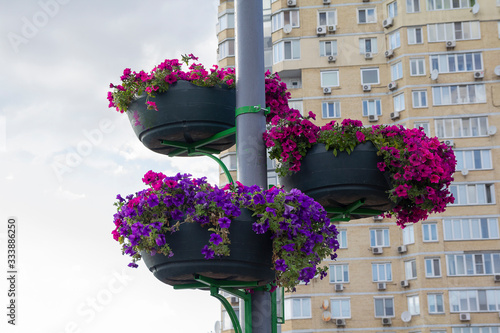Flower pot on a pole against the background of a multi-storey house in the sleeping block
