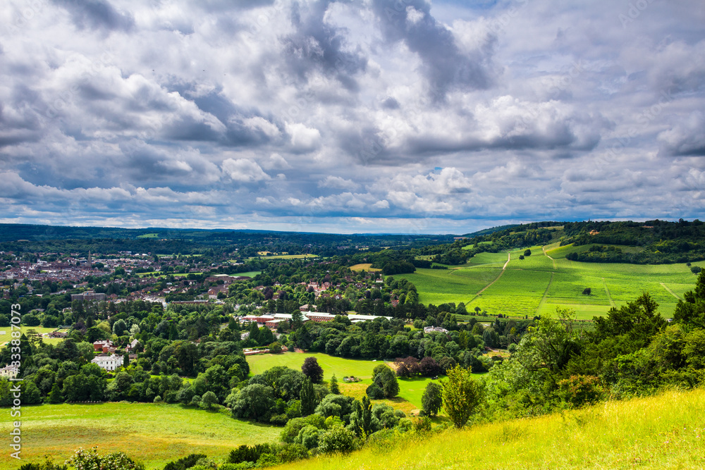 A walk in July along box hill in surrey north downs south east England