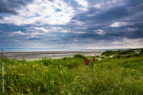 A walk in June around the beach of West Whittering in West Sussex south east England