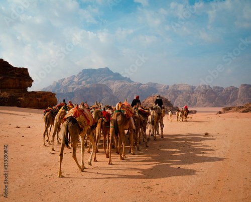 Camels in Wadi Rum desert 