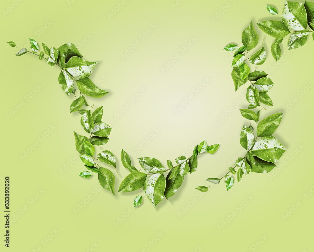 Frame of leaves at light green background. Beautiful hanging climbing plants branches . Nature. Creative layout for your design of eco friendly and zero waste products Frame of leaves at light green background. Beautiful hanging climbing plants branches . Nature. Creative layout for your design of eco friendly and zero waste products