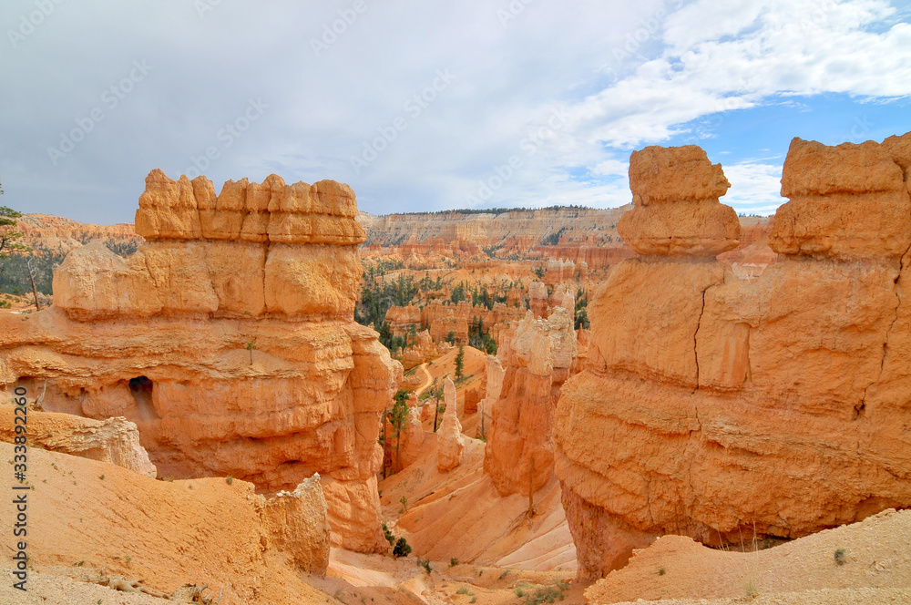 Fototapeta premium Bryce Canyon National Park located in southwestern Utah.
