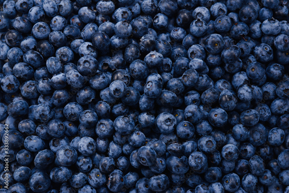 Fresh blueberry background. Texture blueberry berries close up. Fresh blueberry background. Texture blueberry berries close up.
