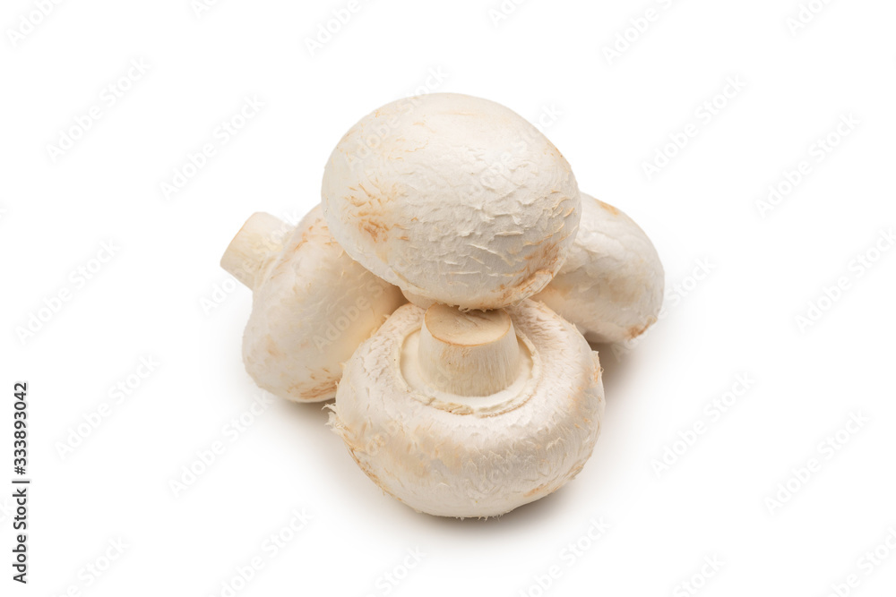 Champignon mushroom isolated on white background. Champignon mushroom isolated on white background.