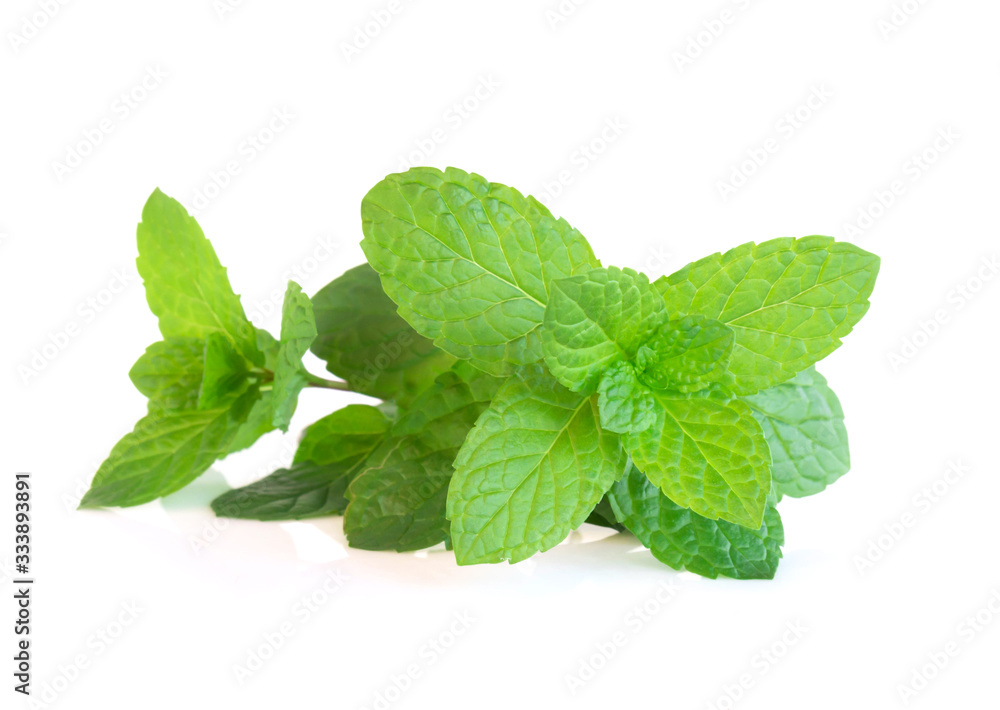 Fresh green mint leaves isolated on white background, Herb and medical concept Fresh green mint leaves isolated on white background, Herb and medical concept