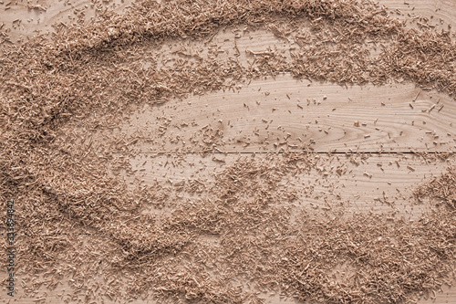 wood shavings on a wooden background from oak planks with expressive texture and natural pattern