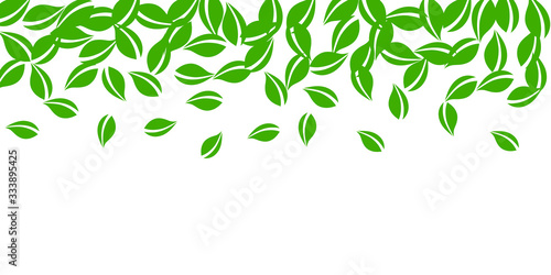 Falling green leaves. Fresh tea neat leaves flying