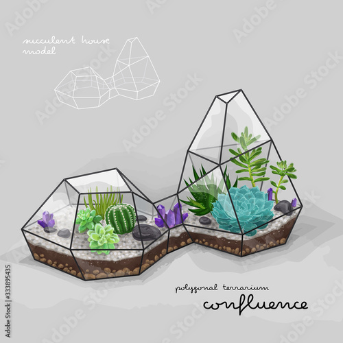 Cactus and succulent inside the double geometrical terrarium (florarium). Vector illustration.