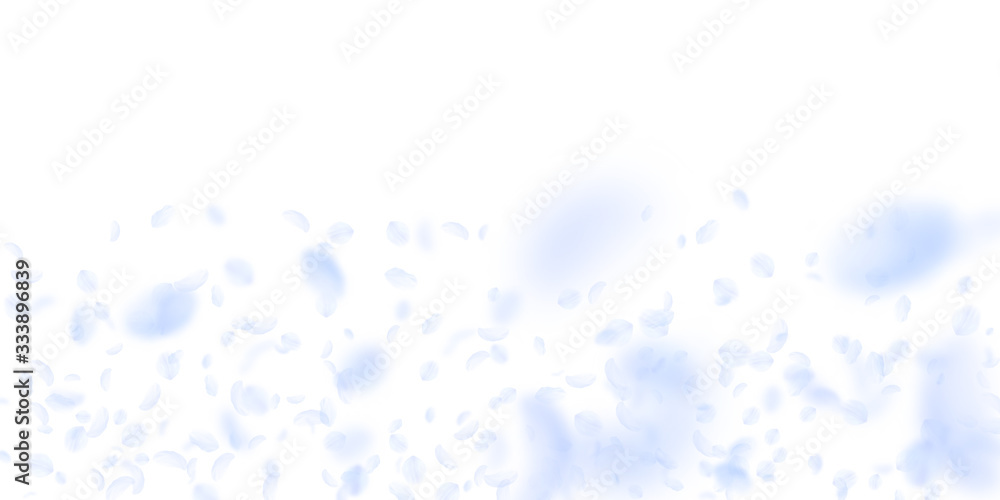 Light blue flower petals falling down. Lovely roma Light blue flower petals falling down. Lovely roma