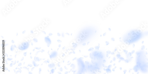 Light blue flower petals falling down. Lovely roma