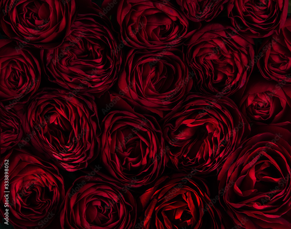 seamless pattern with red roses seamless pattern with red roses