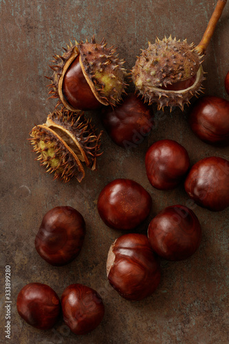 Fresh chestnuts and open chestnut hedgehog on dark rustic background. Pile of fresh chestnuts ready to roast shot over antique background. Top view. High Resolution