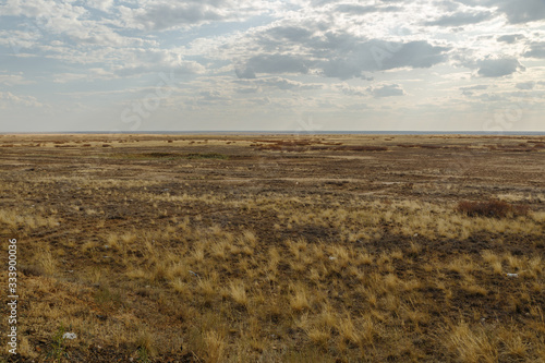 steppe in Kazakhstan  dry grass in an empty steppe  cloudy sky