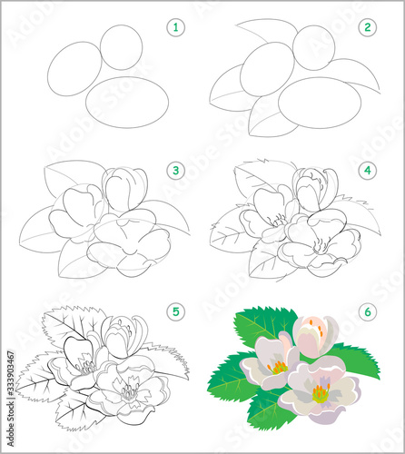 Page shows how to learn to draw step by step beautiful jasmine flowers. Developing children skills for drawing and coloring. Printable worksheet for kids school exercise book. Vector cartoon image.