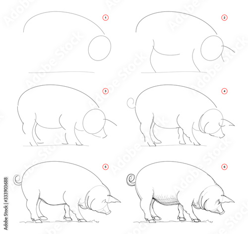 How to draw sketch of imaginary domestic pig. Creation step by step pencil drawing. Education for artists. Textbook for developing artistic skills. Hand-drawn vector on computer by graphic tablet.