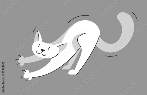 Cute cat playing and stretc...