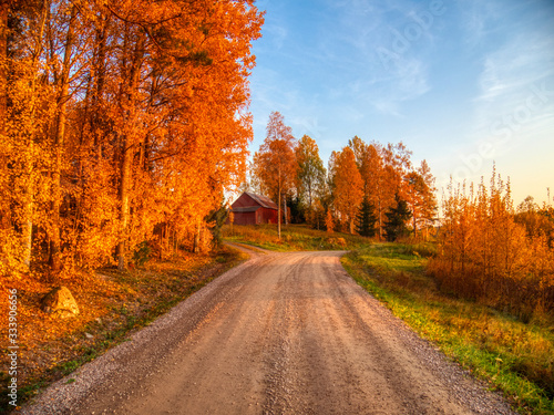 country road in autumn