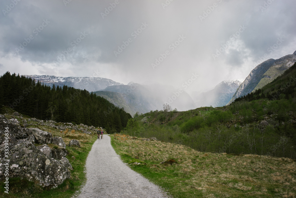 Fototapeta premium Beautiful Norway