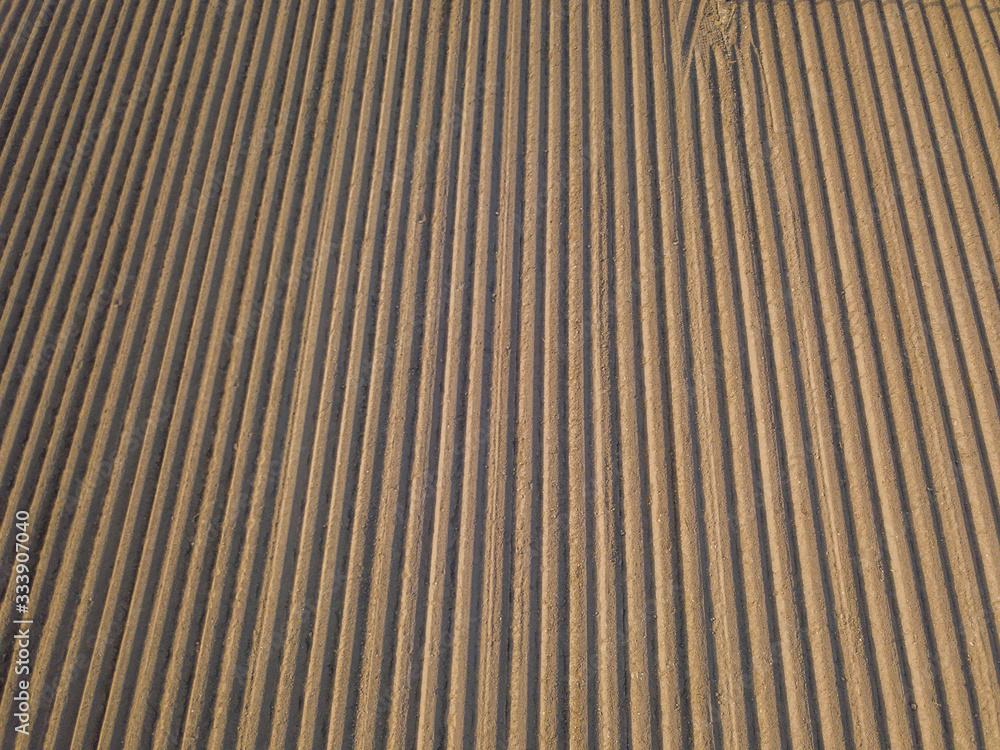 Aerial view of rows on potato farmland field. Concept of modern agriculture. Aerial view of rows on potato farmland field. Concept of modern agriculture.