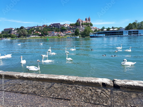 Rhein, breisach photo